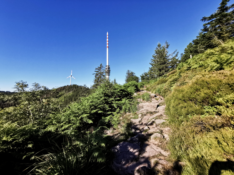 A rough trail like this is today's standard