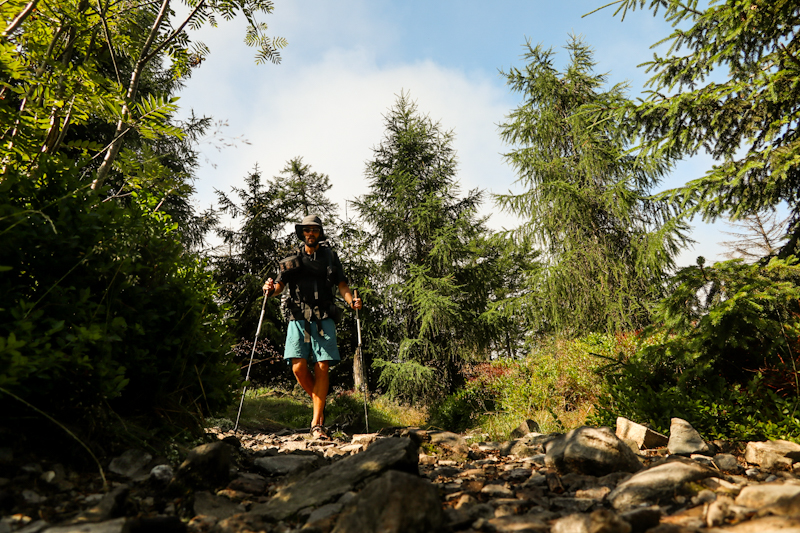 Rocky trail 