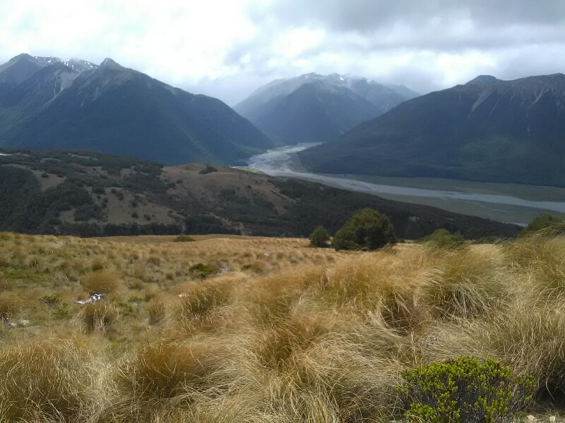 View from Lagoon Saddle. In the distance Arthurs Pass left, Goat Pass right