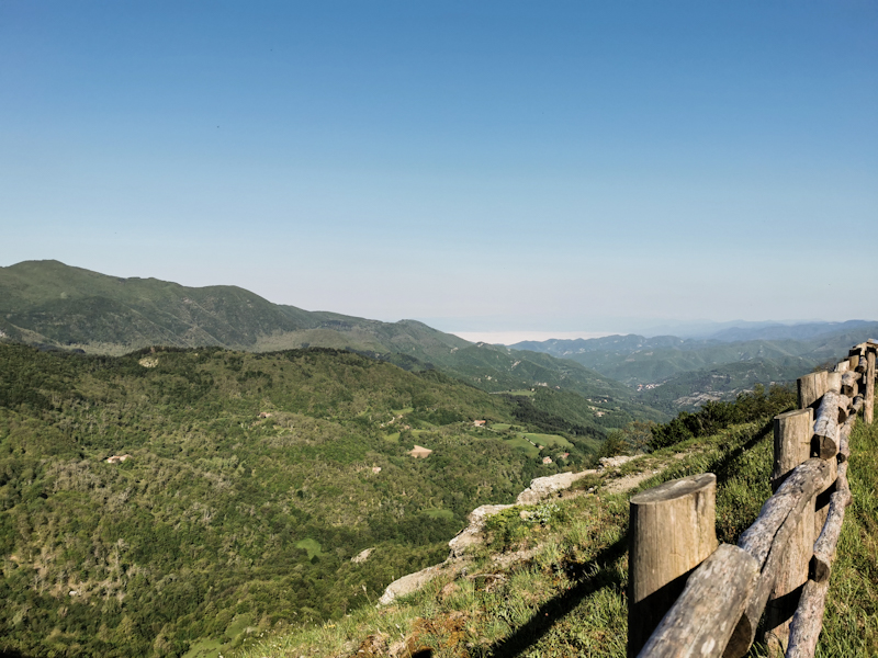 Looking towards Florence. Hidden somewhere beneath the fog. 