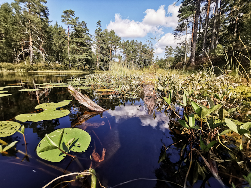 One of the many tarns