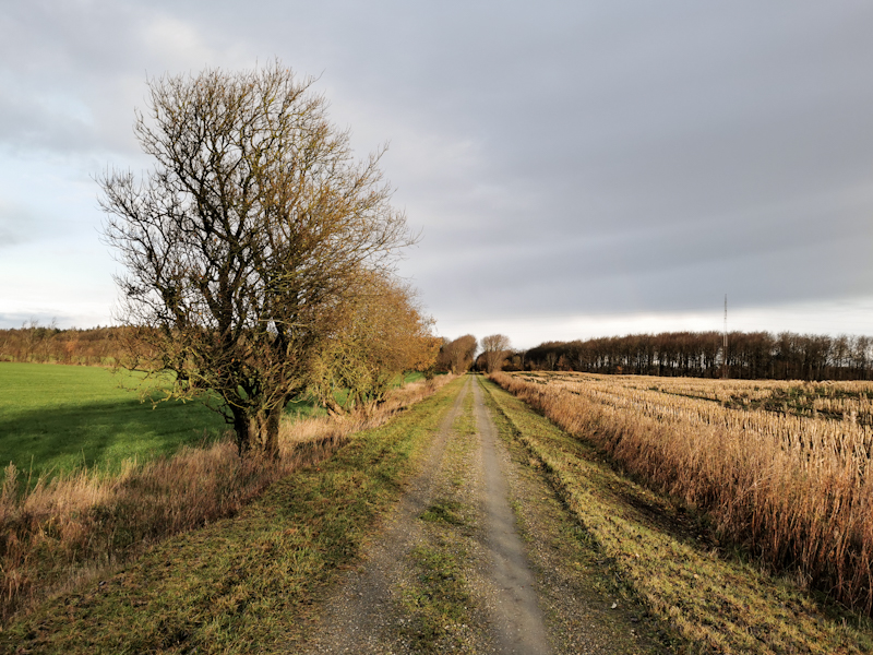 Rail Trail