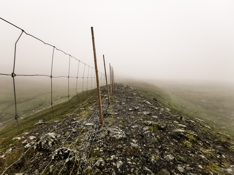 Following the fence