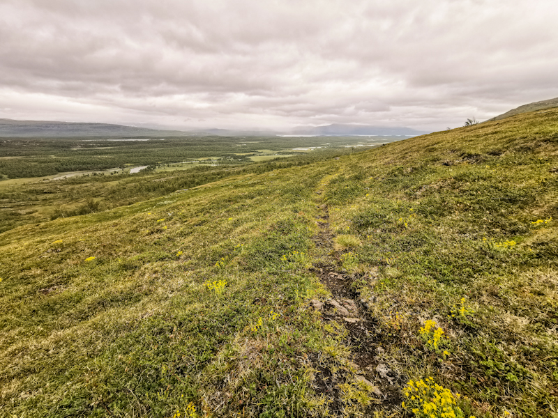 Flatter landscape ahead