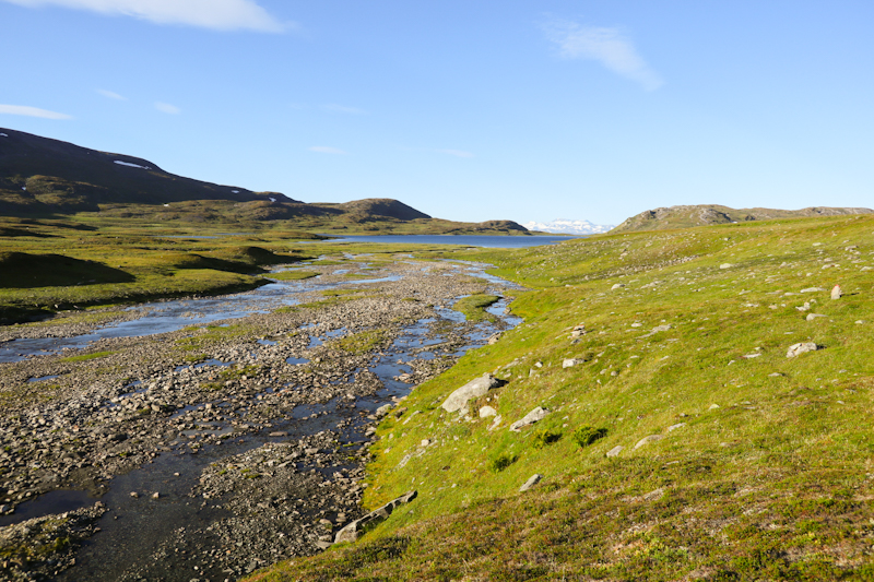 Mosvatnet