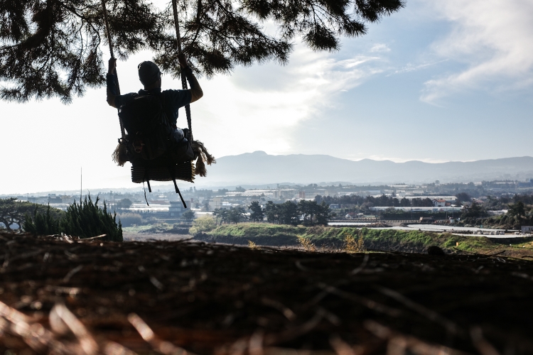 Swing with a view