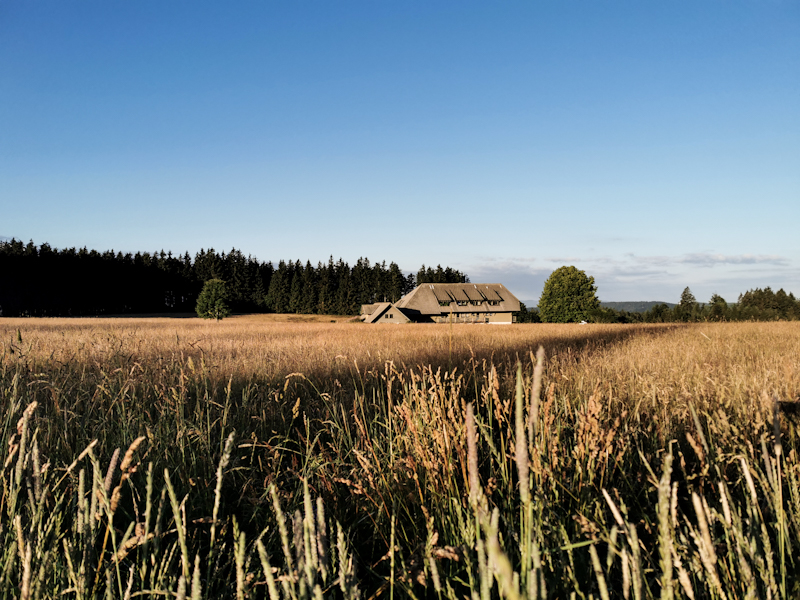 Farmland