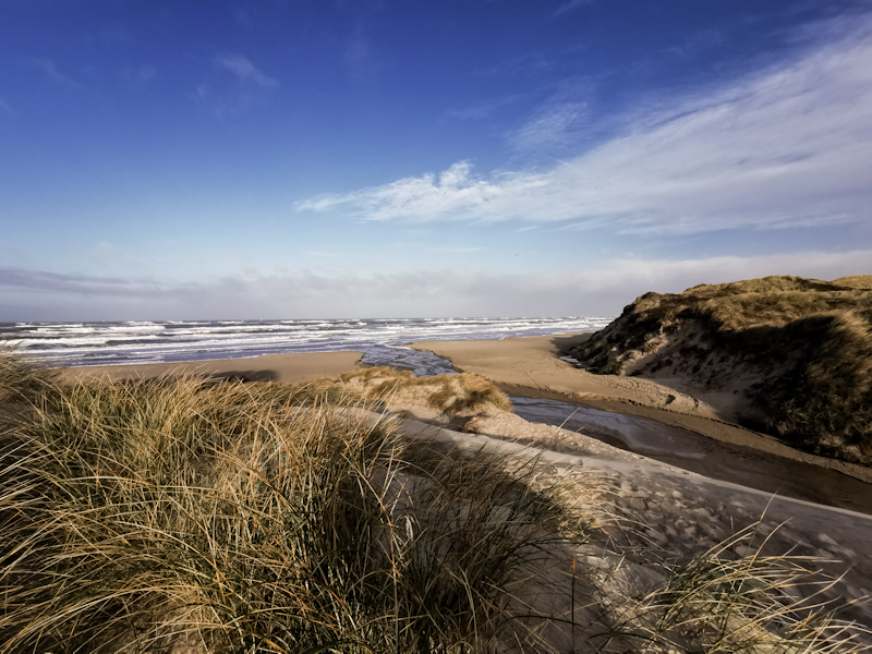 Wild west coast