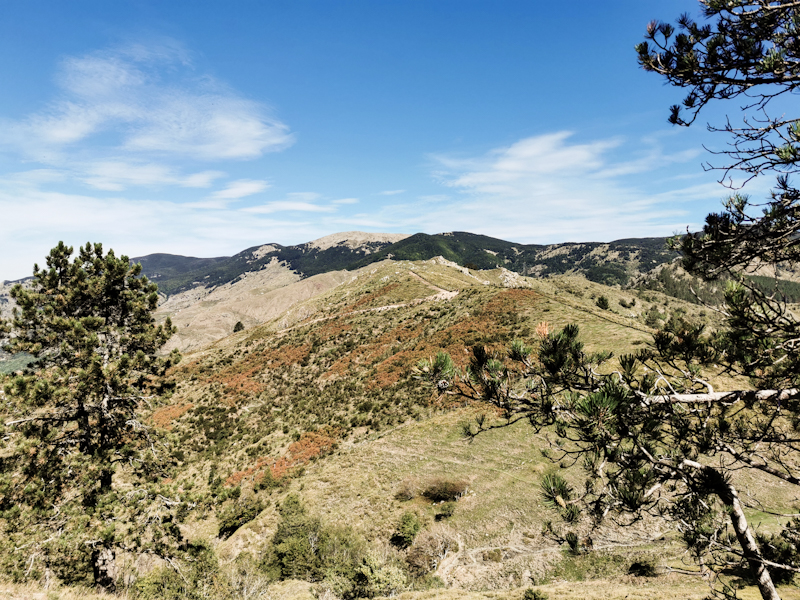 Looking back at Monte Aione