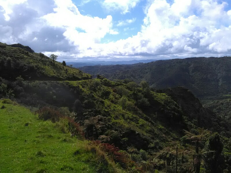 Descending into the valley on Fisher Trail