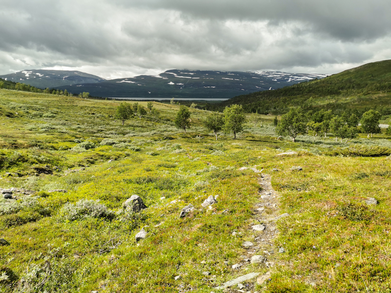 Lovely trail leading down to Altevatnet