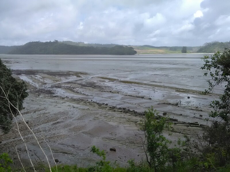 After crossing the Okura Estuary/River