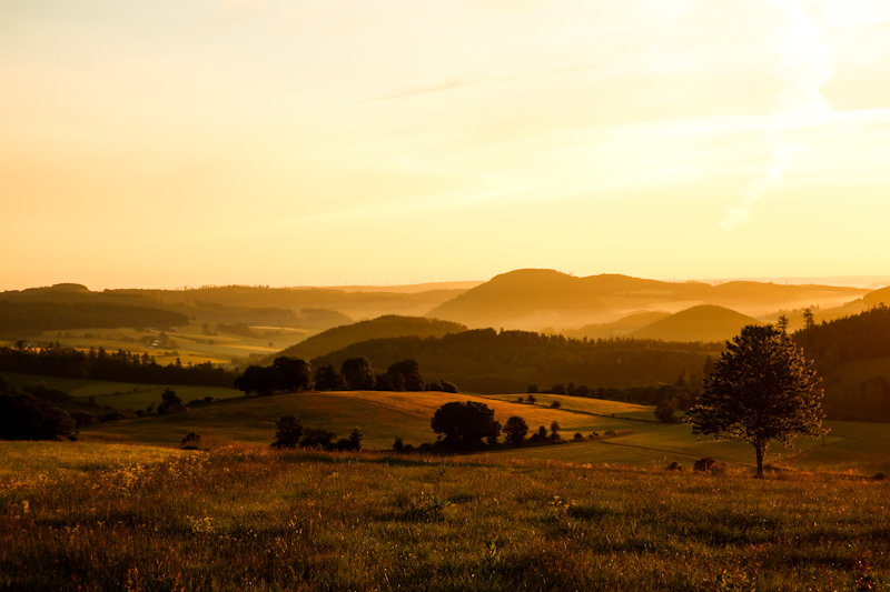 Everything covered in golden light 