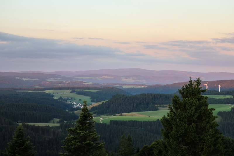 Morning view towards Feldberg 