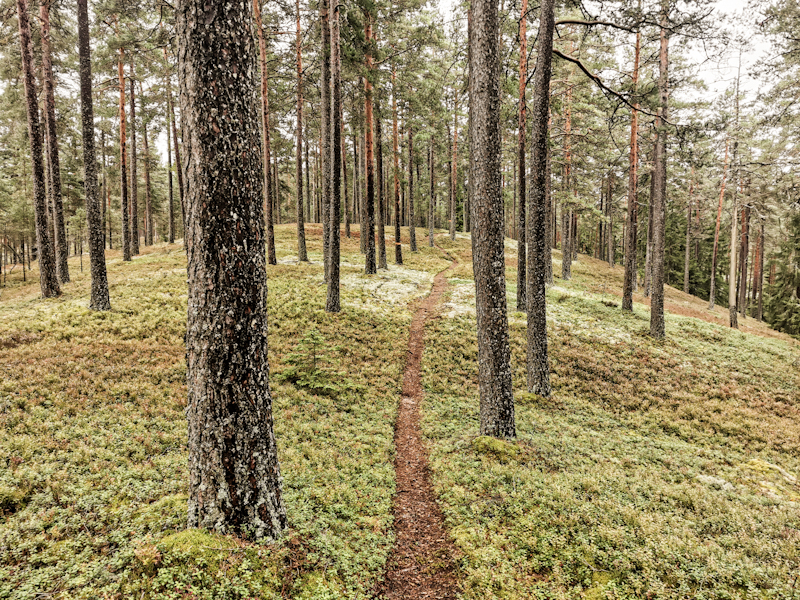 Wonderful hiking