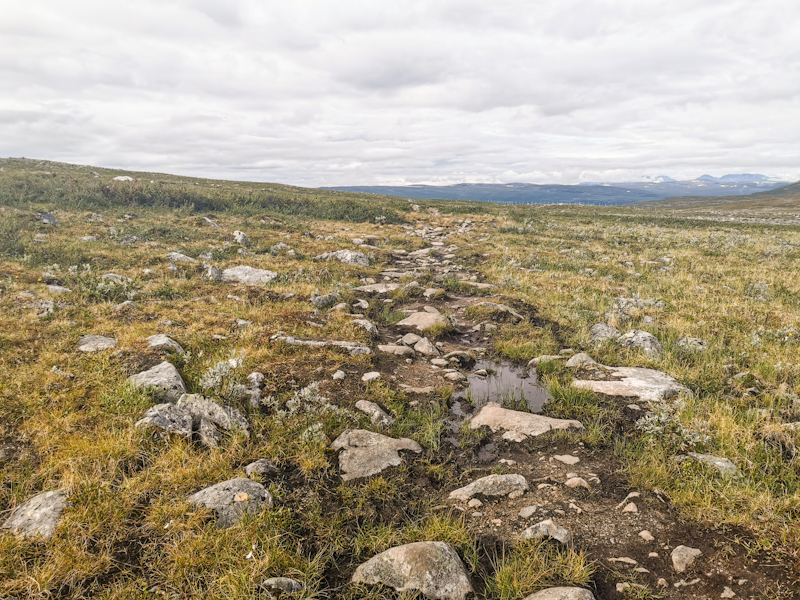 Rough trail