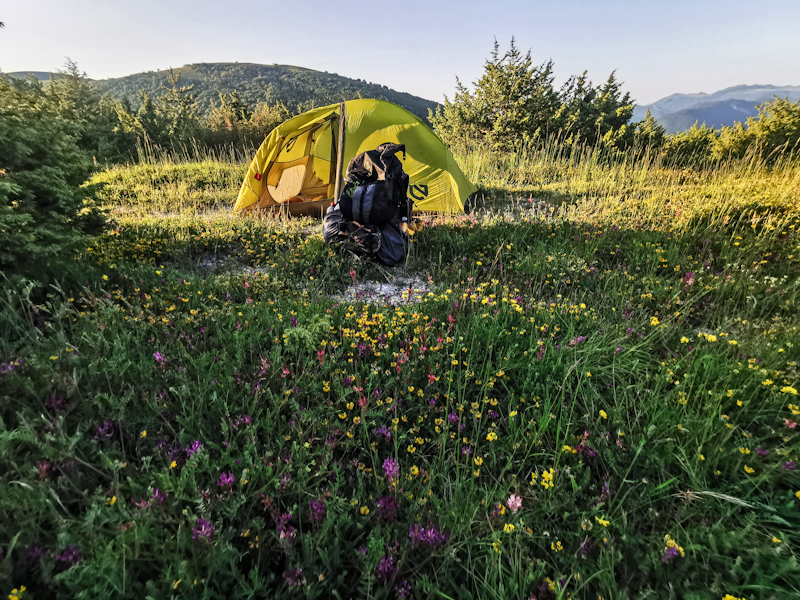 Tenting within spring flowers 