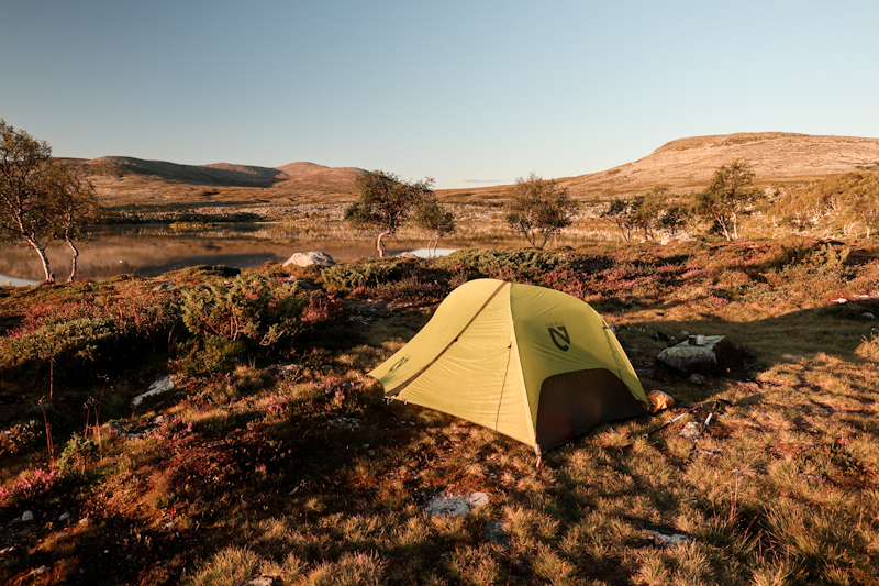 Golden morning light