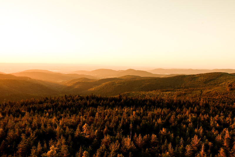 ... wonderful sunset!