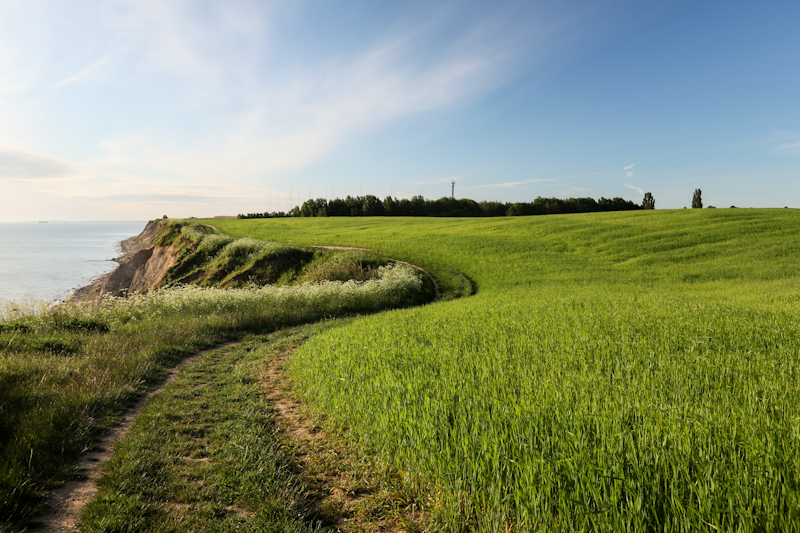 Lovely trail