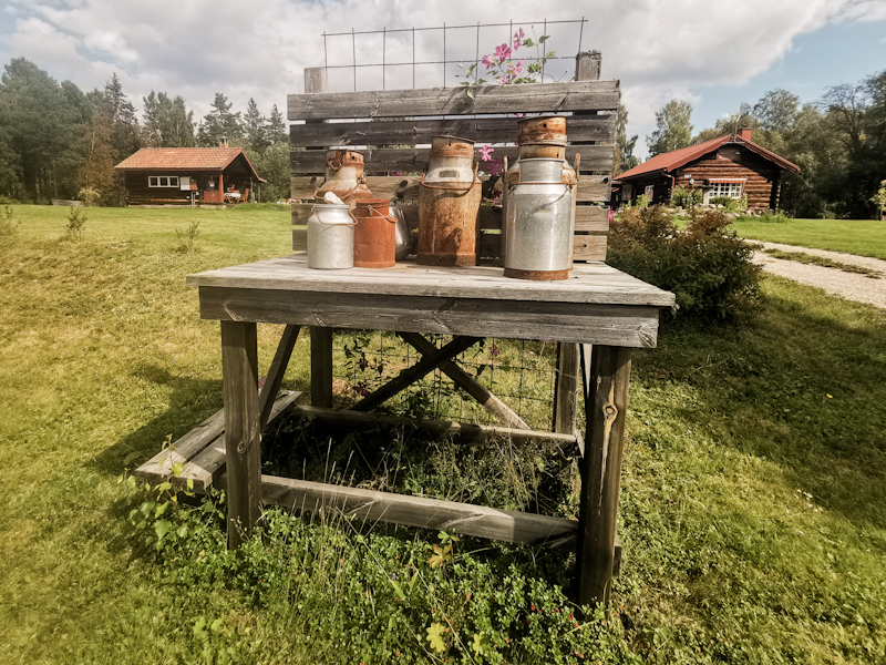 Old cow grazing site