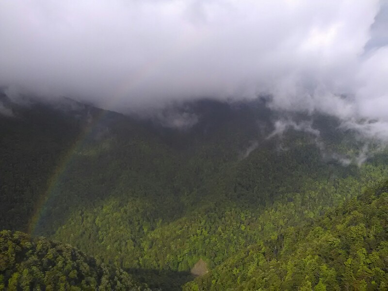 Rainbow :)