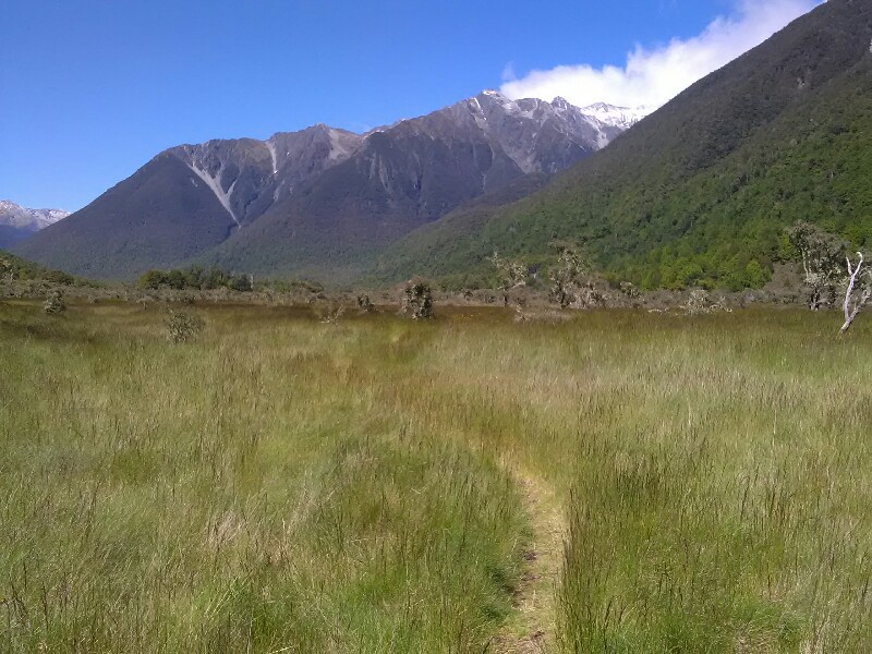 What a nice track! The fresh snow on the tops almost gone...