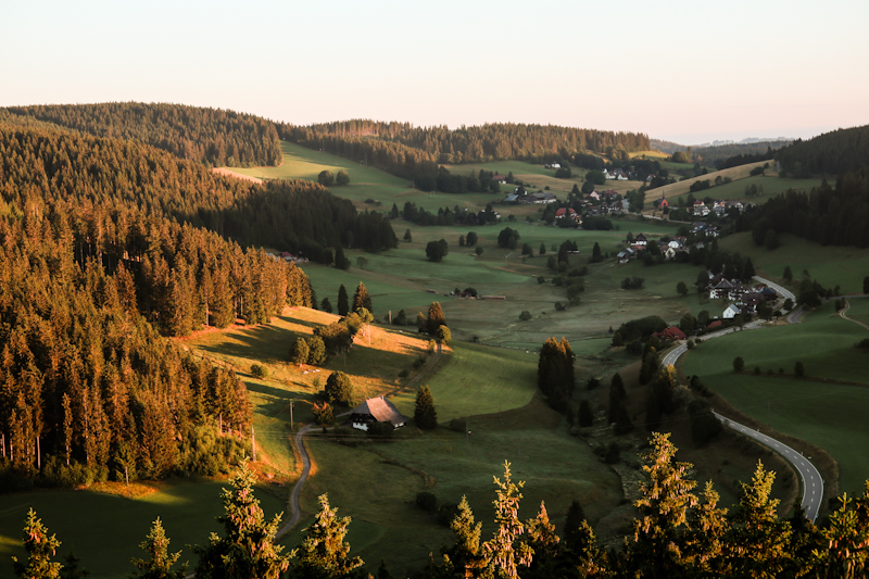 Morning view from the tower 