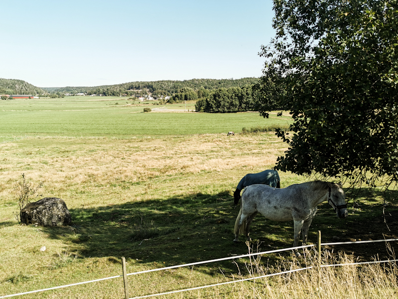 Change in landscape