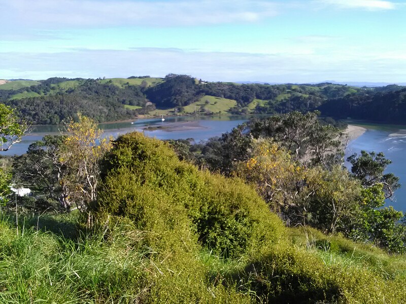 Puhoi River