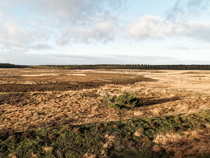 Large wetland 