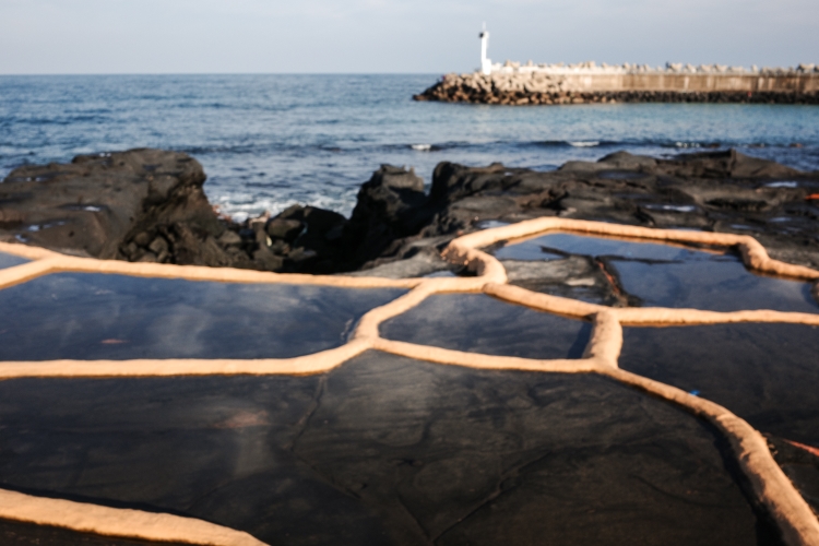 Salt production