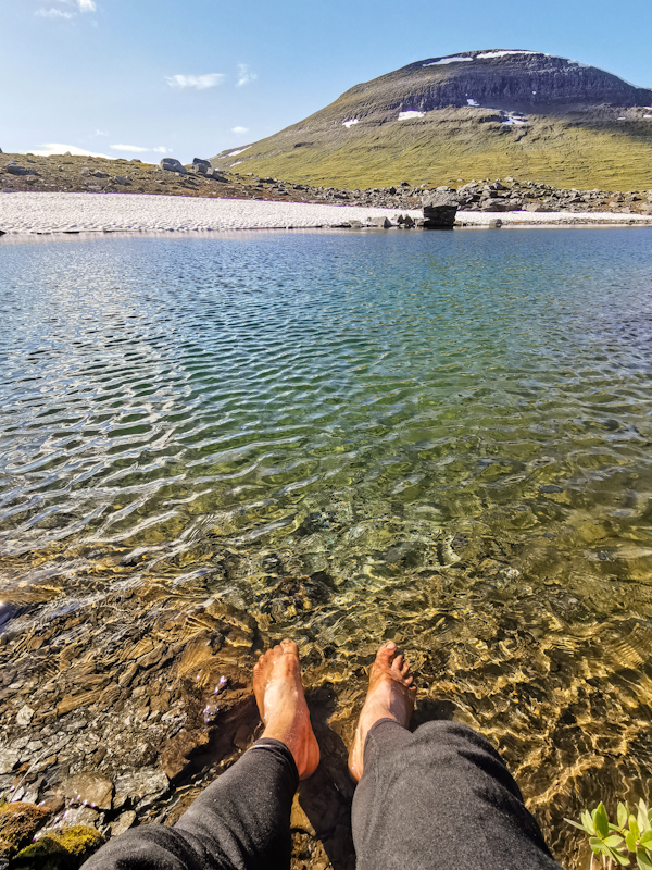 A bit of wellness