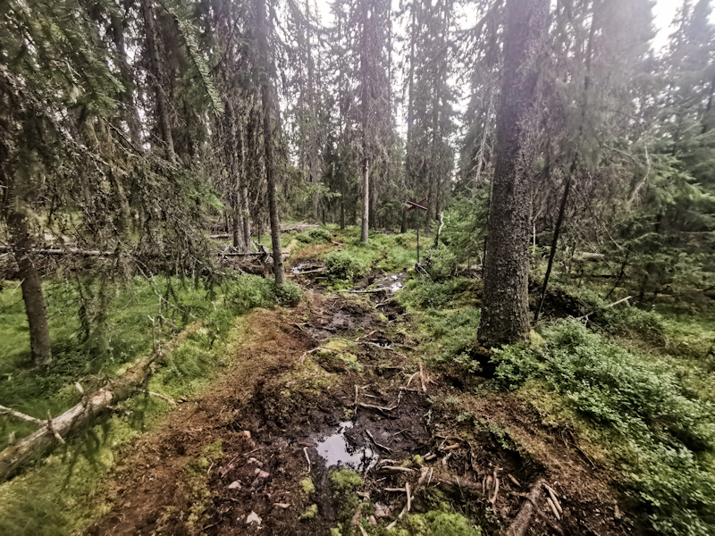Shitty trail shortly before arriving at...