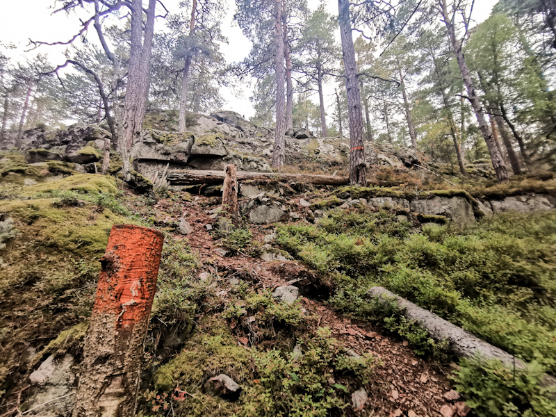 Some rough trail for breakfast