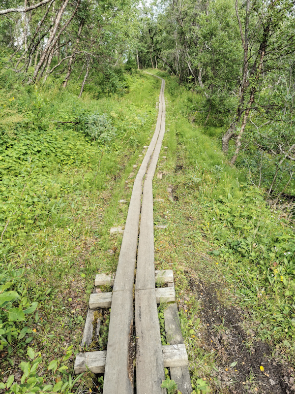 Feeling like a train on these boardwalks