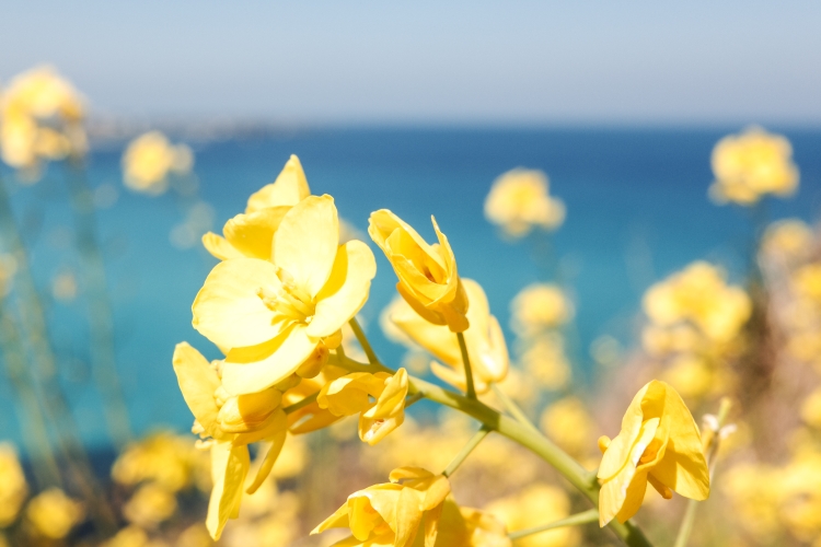 Spring is arriving