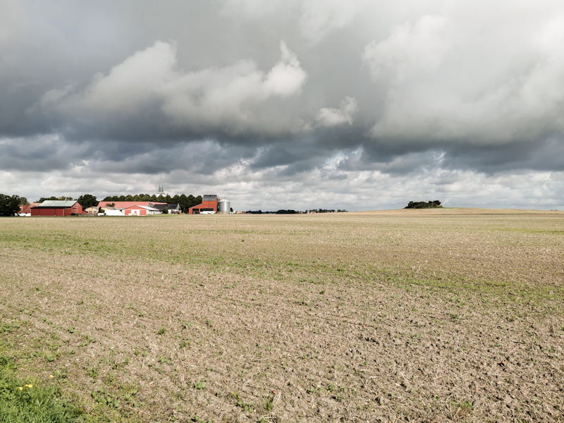 Open farmland