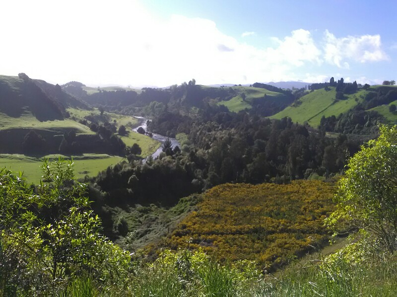 On the way to Owhango