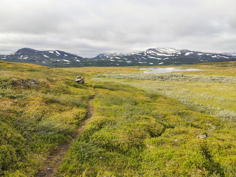 Lovely trail, lovely scenery 