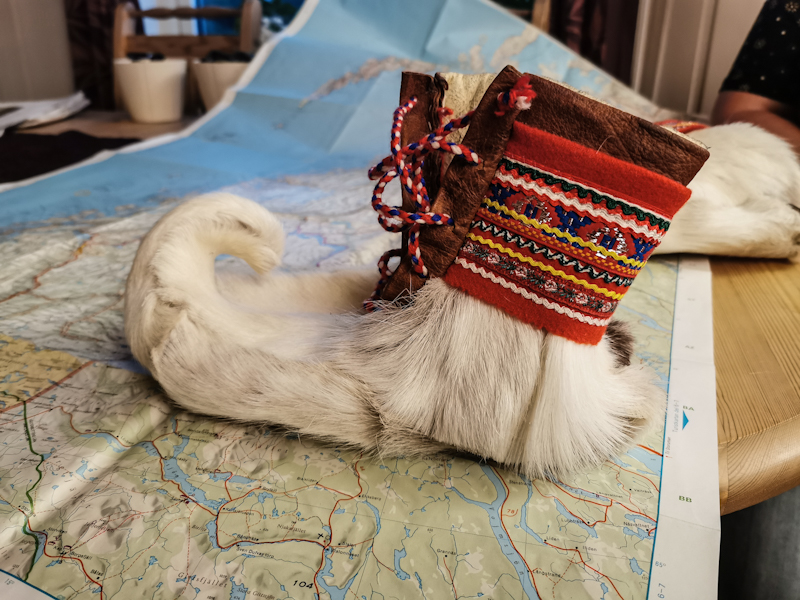 A Sami shoe called Skaller
