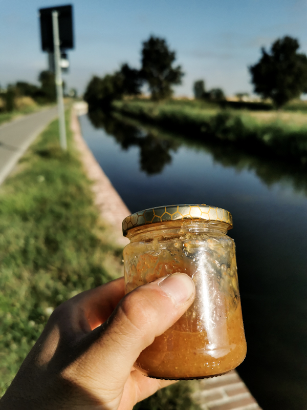 Fig Marmelade. Perfect energy booster.