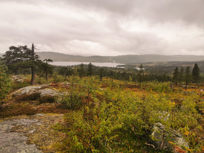 A last look back to Namsvatnet with Storelva clearly visible in the background 