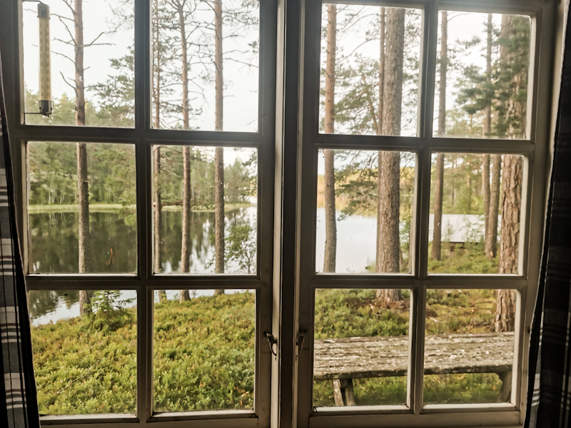 Room with a lovely view