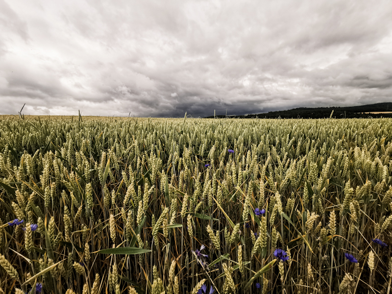 Dark clouds looming on the horizon 