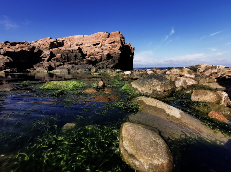 Some more coastal impressions