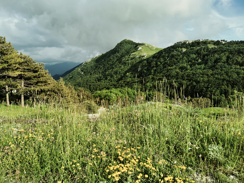 Above the treeline again