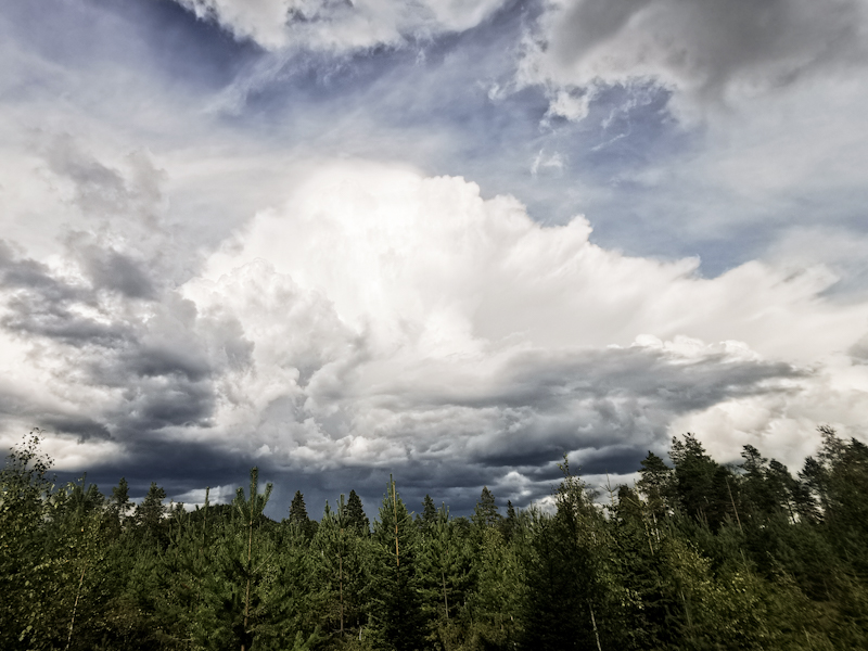 Thunderstorm in the making