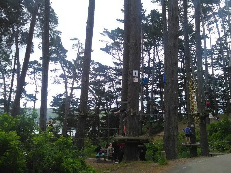 Rope course at Gear Homestead