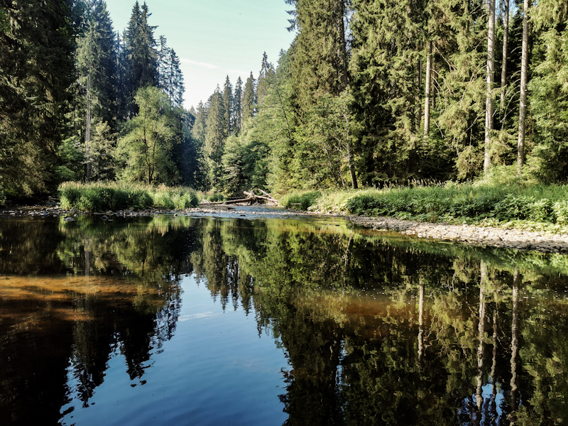 Reflection on the Wutach River